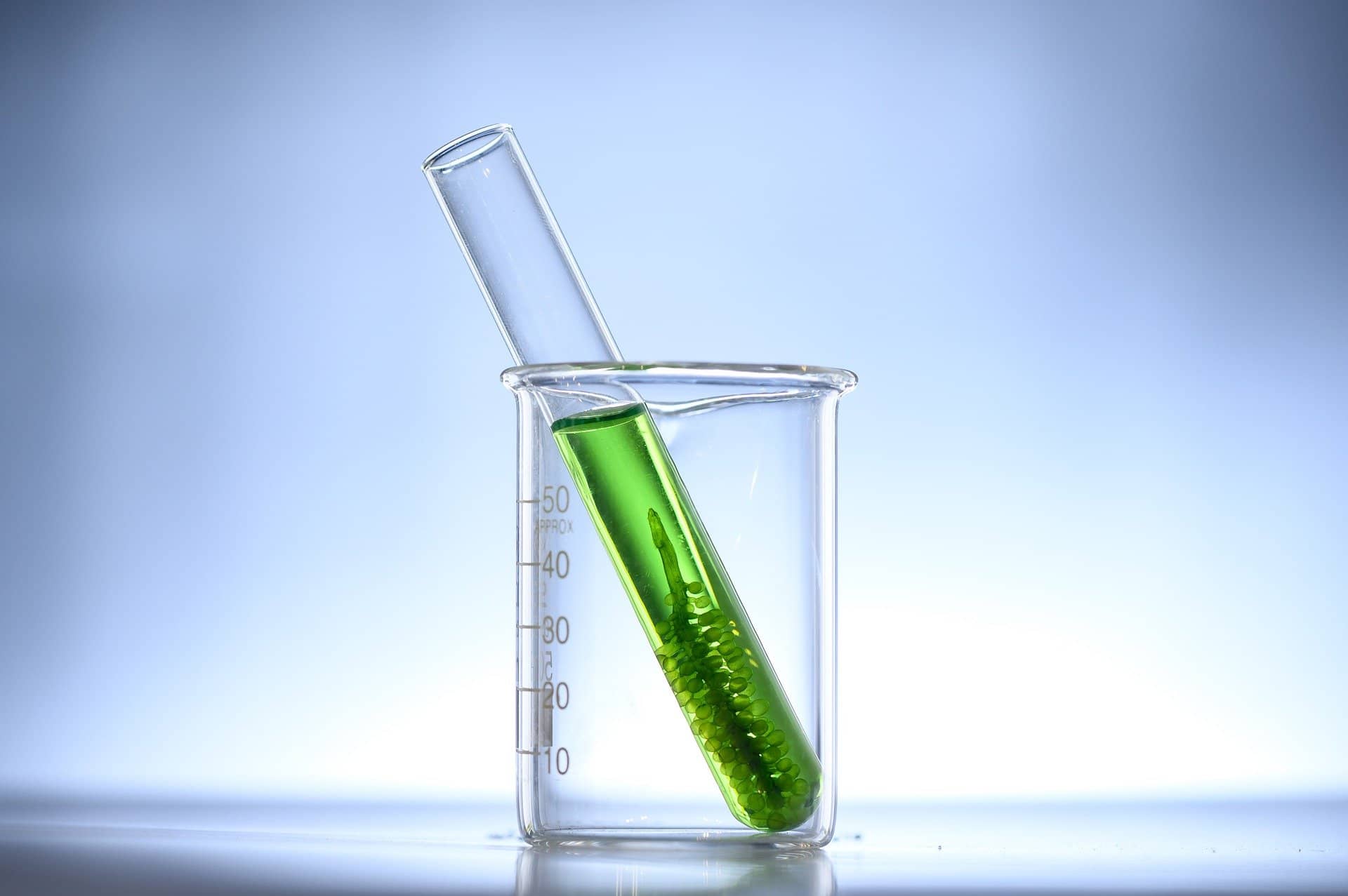 beaker with biofuel