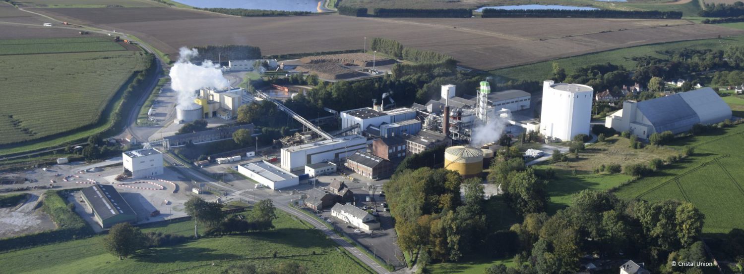 picture of the plant in Fontaine