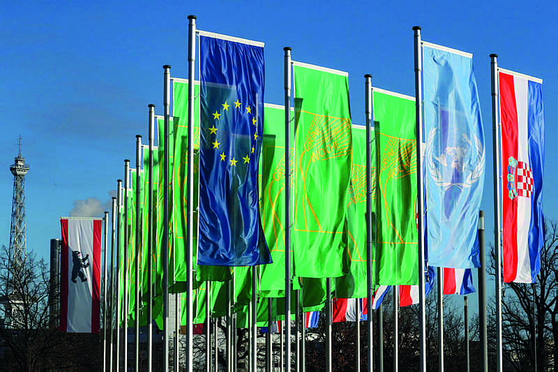 flags of Gruene Woche