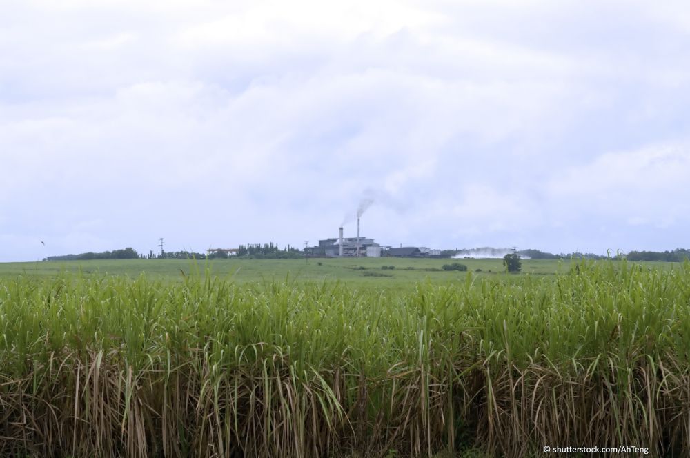 sugar cane factory