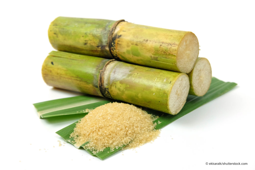 sugarcane und brown sugar