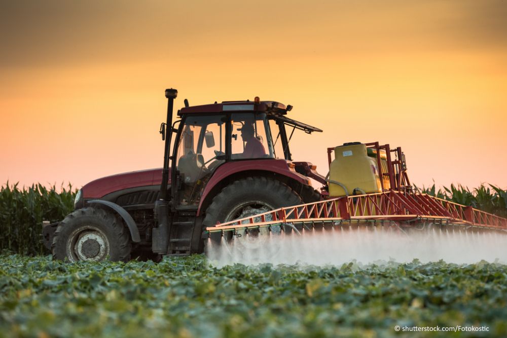 traktor in a sugar beet field