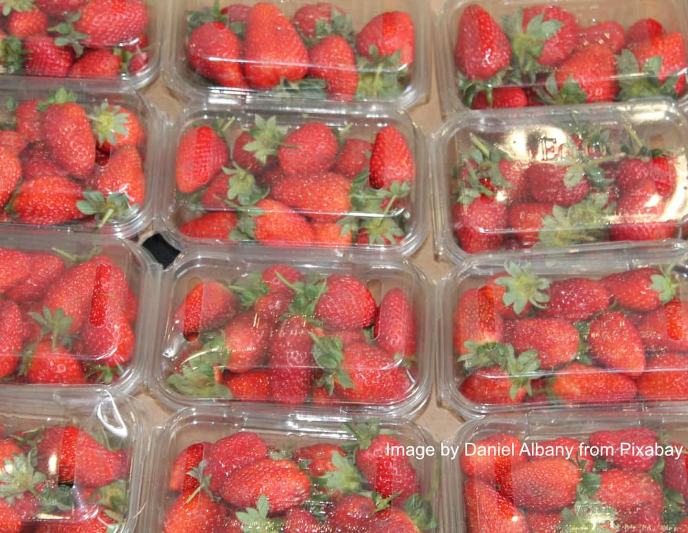 strawberry food packaging
